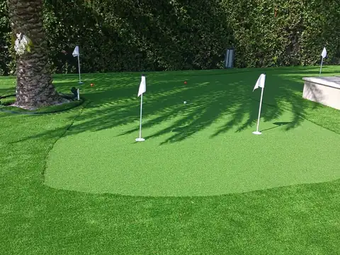 Backyard putting green with three flags and practice balls beside a pool deck, framed by a tall hedge and a palm